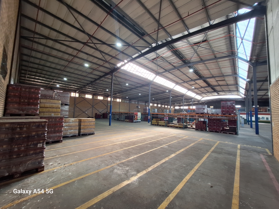 To Let Commercial Property for Rent in Ottery Western Cape